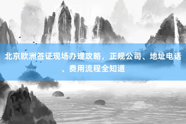 北京欧洲签证现场办理攻略，正规公司、地址电话、费用流程全知道