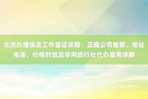 北京办理埃及工作签证攻略：正规公司推荐、地址电话、价格时效及华网旅行社代办服务详解